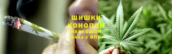 стаф Белокуриха