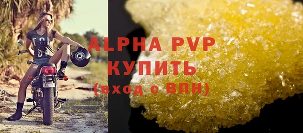стаф Белокуриха