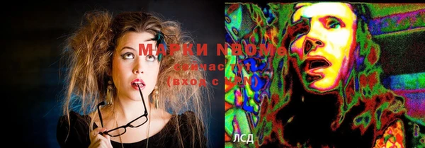 стаф Белокуриха