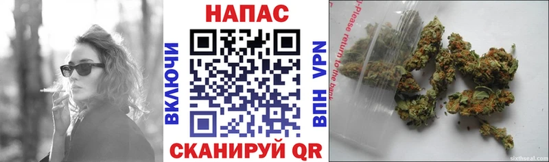 закладка  Курчатов  Каннабис гибрид 